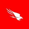 Falcon X