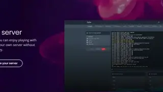 FalixNodes screenshot