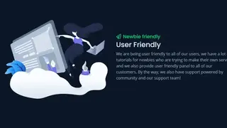 FalixNodes screenshot