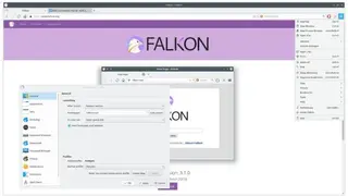 Falkon screenshot
