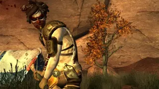 Fallout: New Vegas – Honest Hearts screenshot
