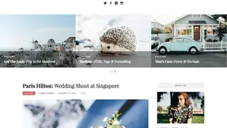 FameThemes screenshot