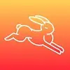 Fast Motion