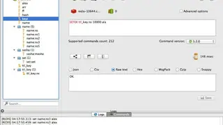 FastoRedis screenshot