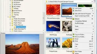 FastStone Image Viewer screenshot
