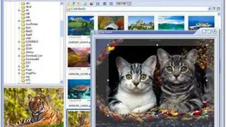 FastStone Image Viewer screenshot
