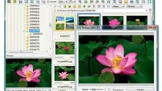 FastStone Image Viewer screenshot