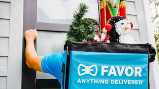 Favor – Anything Delivered screenshot
