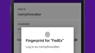 FedEx screenshot