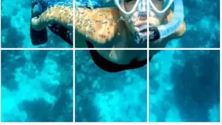 Feed Preview for Instagram screenshot