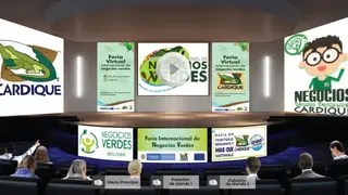 Ferias Virtuales Web screenshot