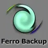 Ferro Backup System