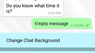 FF Meeting screenshot