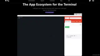 Fig Terminal screenshot