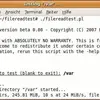 File Read Test