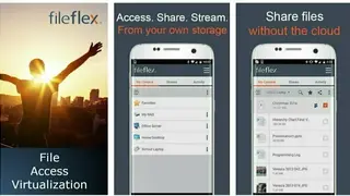 FileFlex screenshot