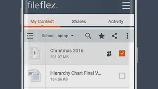FileFlex screenshot