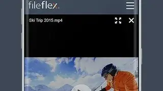 FileFlex screenshot
