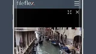FileFlex screenshot