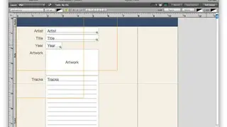 FileMaker Pro 12 screenshot