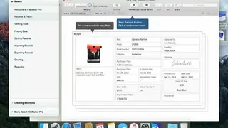 FileMaker Pro screenshot