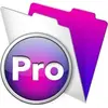 FileMaker Pro 12
