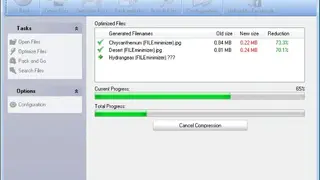 FILEminimizer Pictures screenshot