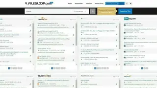 FilesLoop screenshot