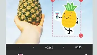 Filmmaker Pro screenshot