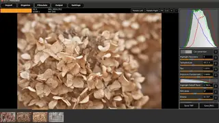 Filmulator screenshot