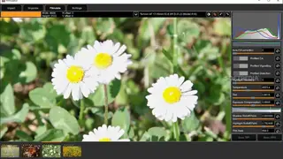 Filmulator screenshot