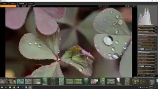 Filmulator screenshot