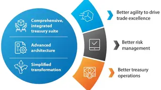 Finacle Treasury screenshot