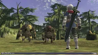 Final Fantasy XI Online screenshot