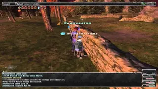 Final Fantasy XI Online screenshot