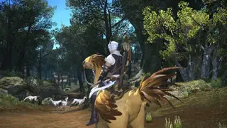 Final Fantasy XIV Online: A Realm Reborn screenshot