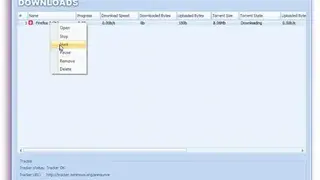 FinalTorrent screenshot
