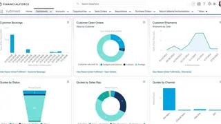 FinancialForce screenshot