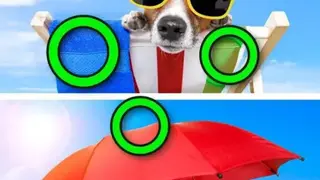 Find The Difference: Spot It Game screenshot