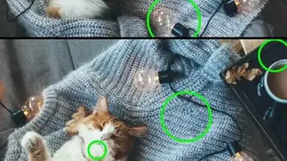 Find the Differences screenshot