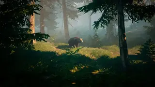 Finding Bigfoot screenshot