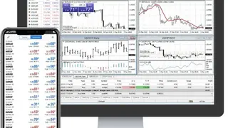 FiNMAX screenshot