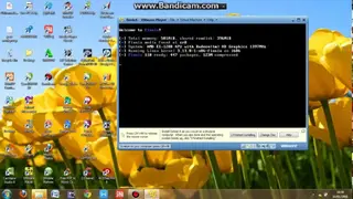 Finnix screenshot