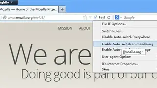 Fire IE screenshot