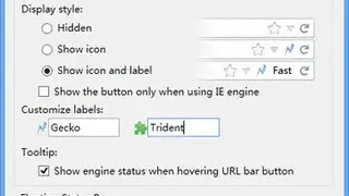 Fire IE screenshot