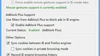 Fire IE screenshot