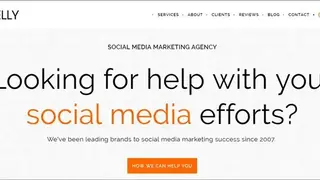 Firebelly Marketing screenshot