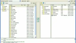 FireFTP screenshot
