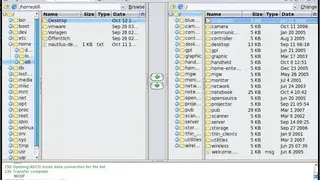 FireFTP screenshot
