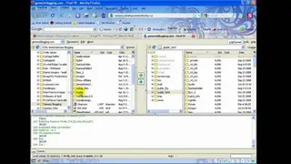 FireFTP screenshot